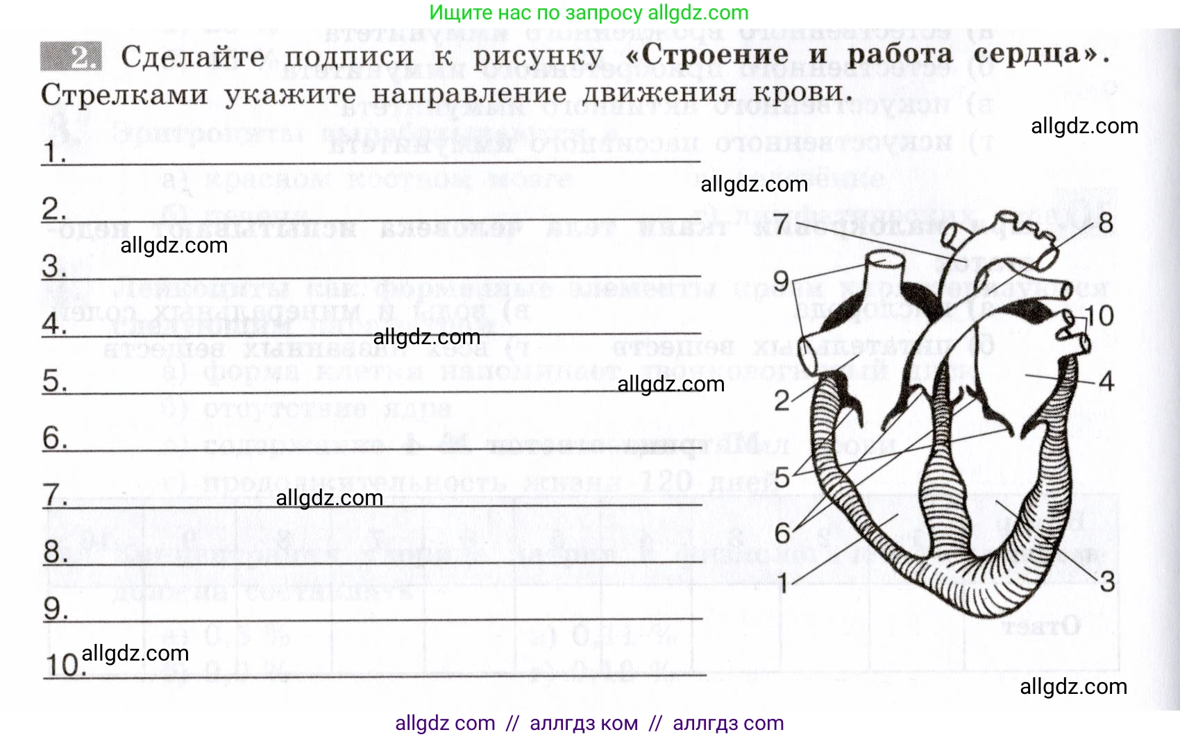 Биология, 8 класс рабочая тетрадь, авторы: Пасечник Владимир Васильевич, Швецов Глеб Геннадьевич, издательство Просвещение, Москва, 2019, страница 42, номер 2, Условие