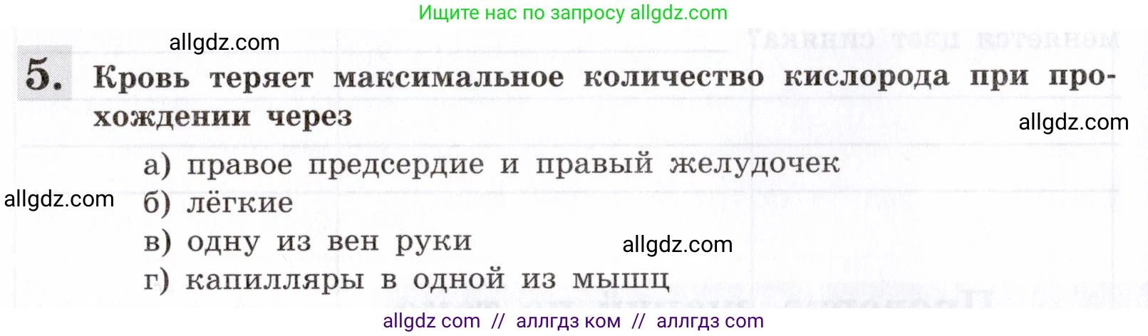 Биология, 8 класс рабочая тетрадь, авторы: Пасечник Владимир Васильевич, Швецов Глеб Геннадьевич, издательство Просвещение, Москва, 2019, страница 48, номер 5, Условие