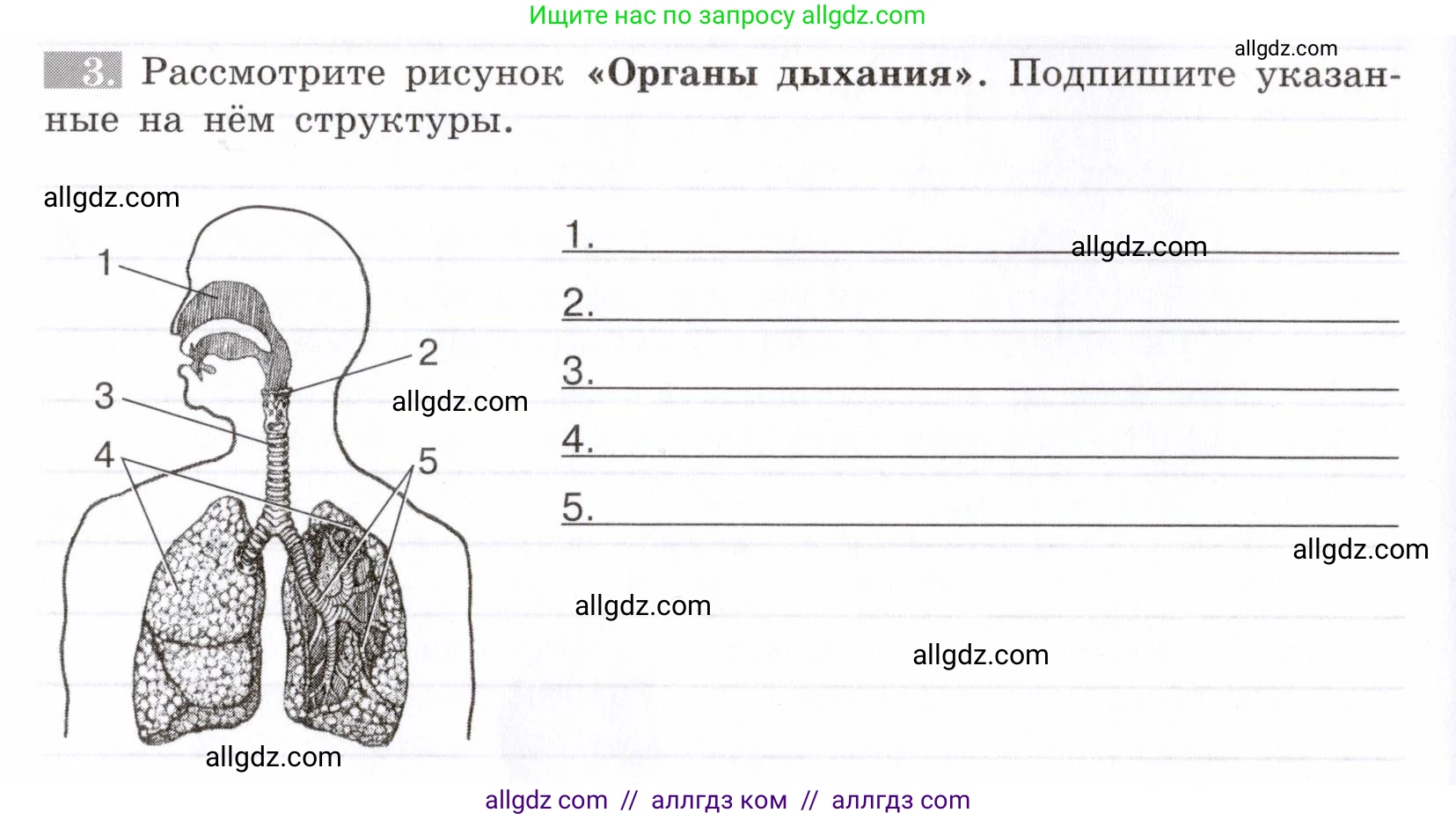 Биология, 8 класс рабочая тетрадь, авторы: Пасечник Владимир Васильевич, Швецов Глеб Геннадьевич, издательство Просвещение, Москва, 2019, страница 52, номер 3, Условие