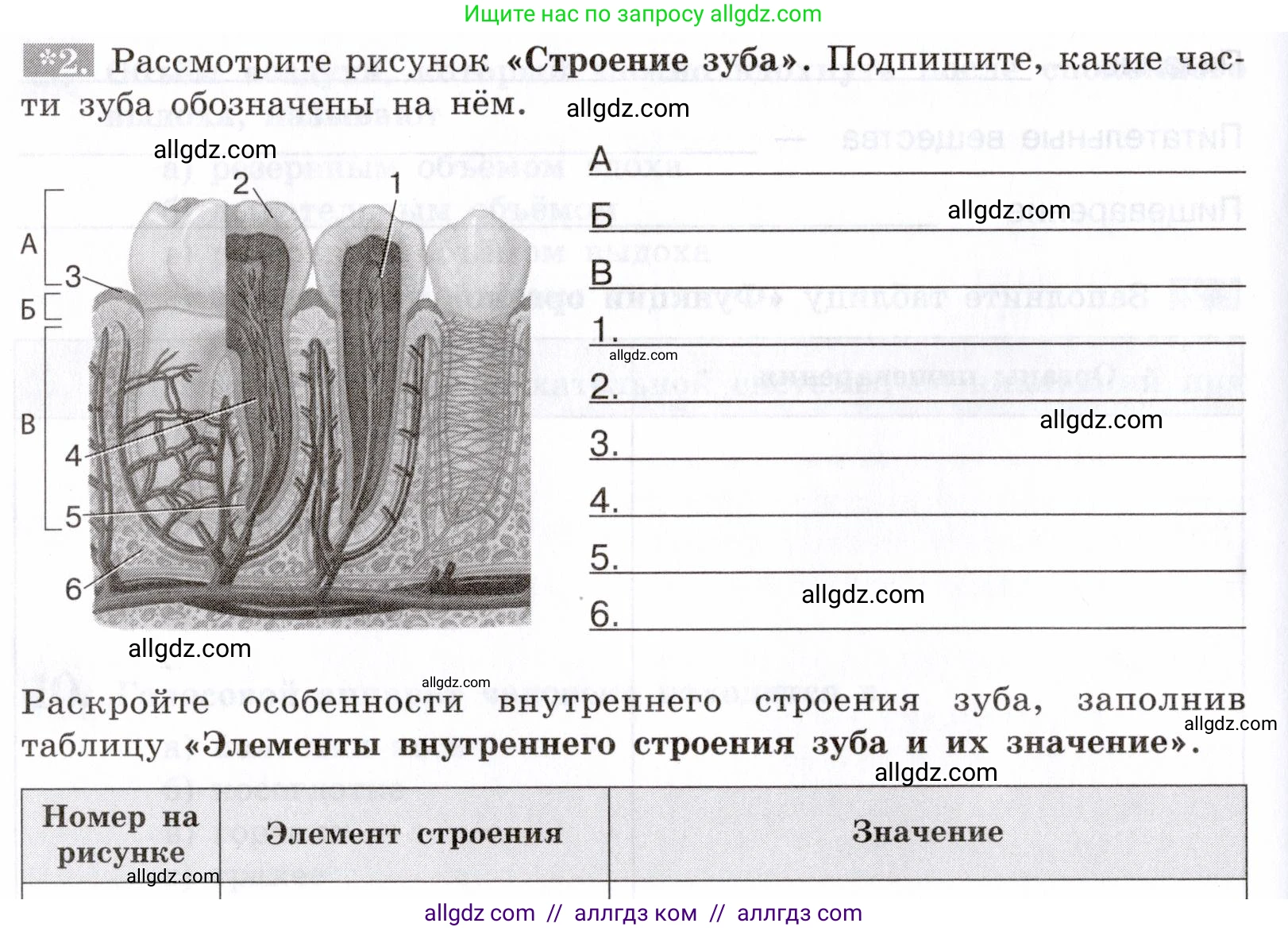 Биология, 8 класс рабочая тетрадь, авторы: Пасечник Владимир Васильевич, Швецов Глеб Геннадьевич, издательство Просвещение, Москва, 2019, страница 60, номер 2, Условие