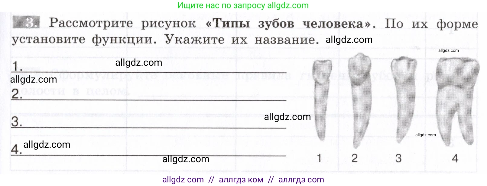 Биология, 8 класс рабочая тетрадь, авторы: Пасечник Владимир Васильевич, Швецов Глеб Геннадьевич, издательство Просвещение, Москва, 2019, страница 61, номер 3, Условие