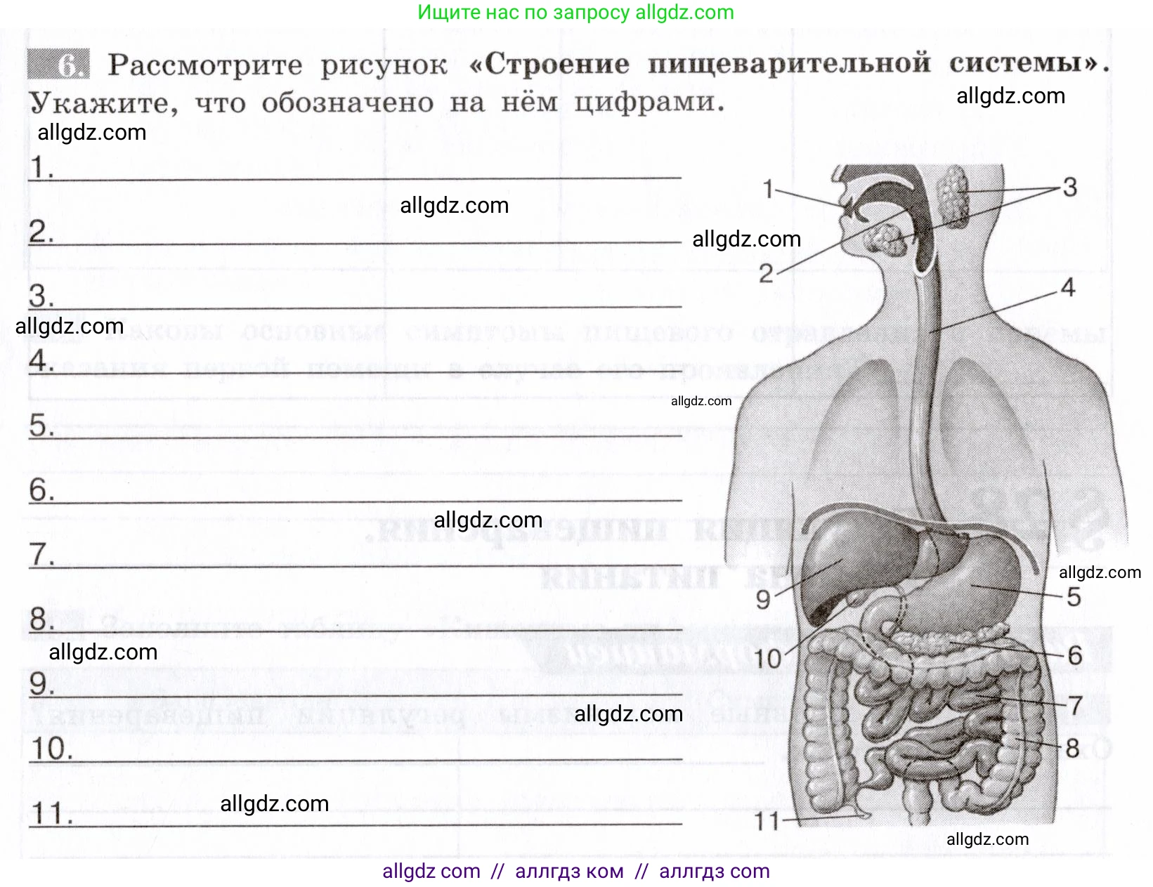 Биология, 8 класс рабочая тетрадь, авторы: Пасечник Владимир Васильевич, Швецов Глеб Геннадьевич, издательство Просвещение, Москва, 2019, страница 67, номер 6, Условие
