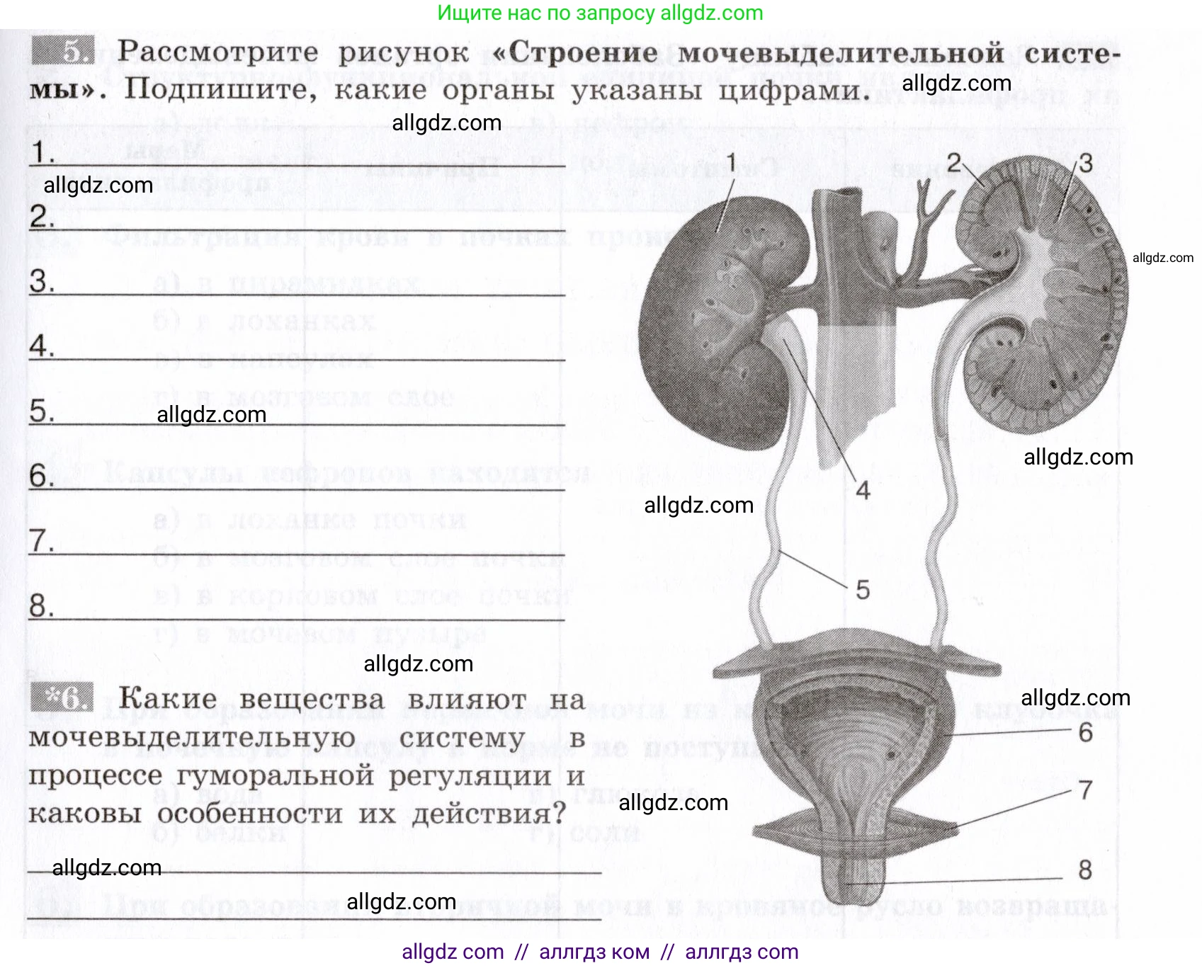 Биология, 8 класс рабочая тетрадь, авторы: Пасечник Владимир Васильевич, Швецов Глеб Геннадьевич, издательство Просвещение, Москва, 2019, страница 83, номер 5, Условие
