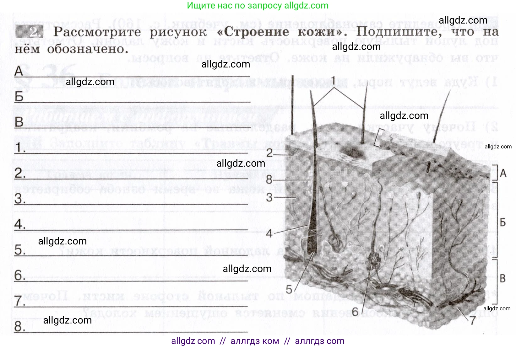Биология, 8 класс рабочая тетрадь, авторы: Пасечник Владимир Васильевич, Швецов Глеб Геннадьевич, издательство Просвещение, Москва, 2019, страница 87, номер 2, Условие