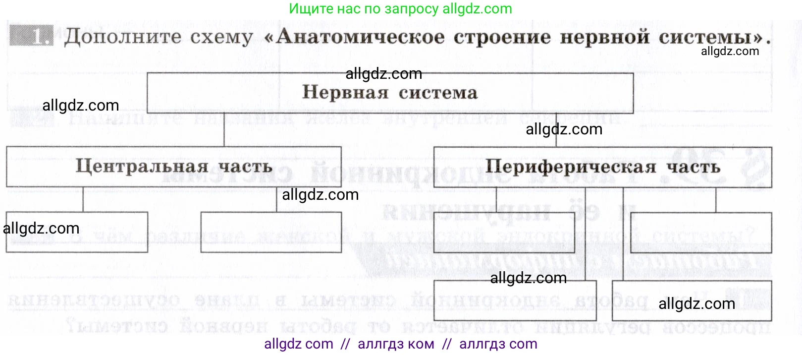 Биология, 8 класс рабочая тетрадь, авторы: Пасечник Владимир Васильевич, Швецов Глеб Геннадьевич, издательство Просвещение, Москва, 2019, страница 98, номер 1, Условие