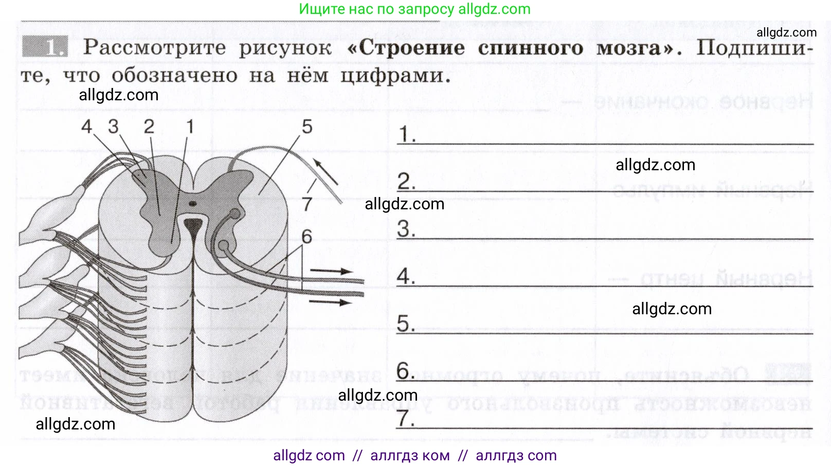 Биология, 8 класс рабочая тетрадь, авторы: Пасечник Владимир Васильевич, Швецов Глеб Геннадьевич, издательство Просвещение, Москва, 2019, страница 100, номер 1, Условие