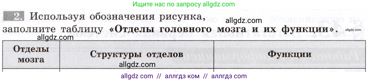 Биология, 8 класс рабочая тетрадь, авторы: Пасечник Владимир Васильевич, Швецов Глеб Геннадьевич, издательство Просвещение, Москва, 2019, страница 101, номер 2, Условие