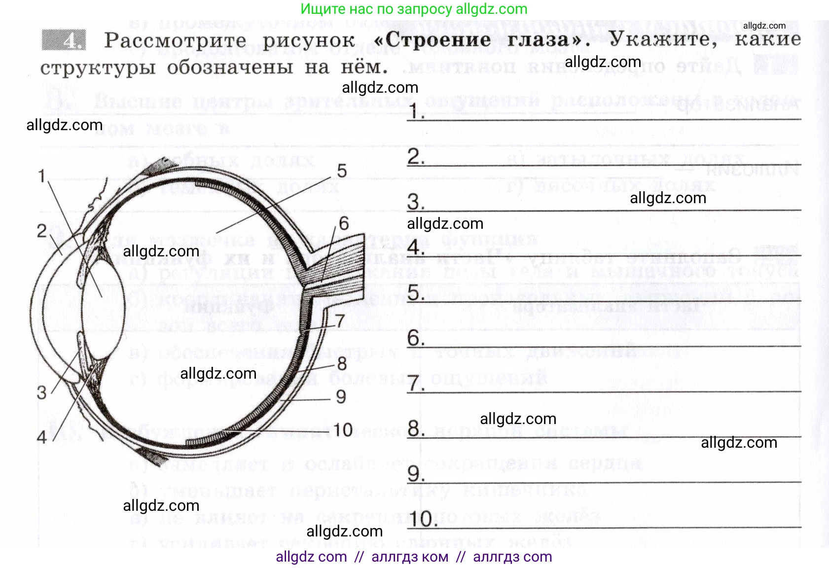 Биология, 8 класс рабочая тетрадь, авторы: Пасечник Владимир Васильевич, Швецов Глеб Геннадьевич, издательство Просвещение, Москва, 2019, страница 108, номер 4, Условие