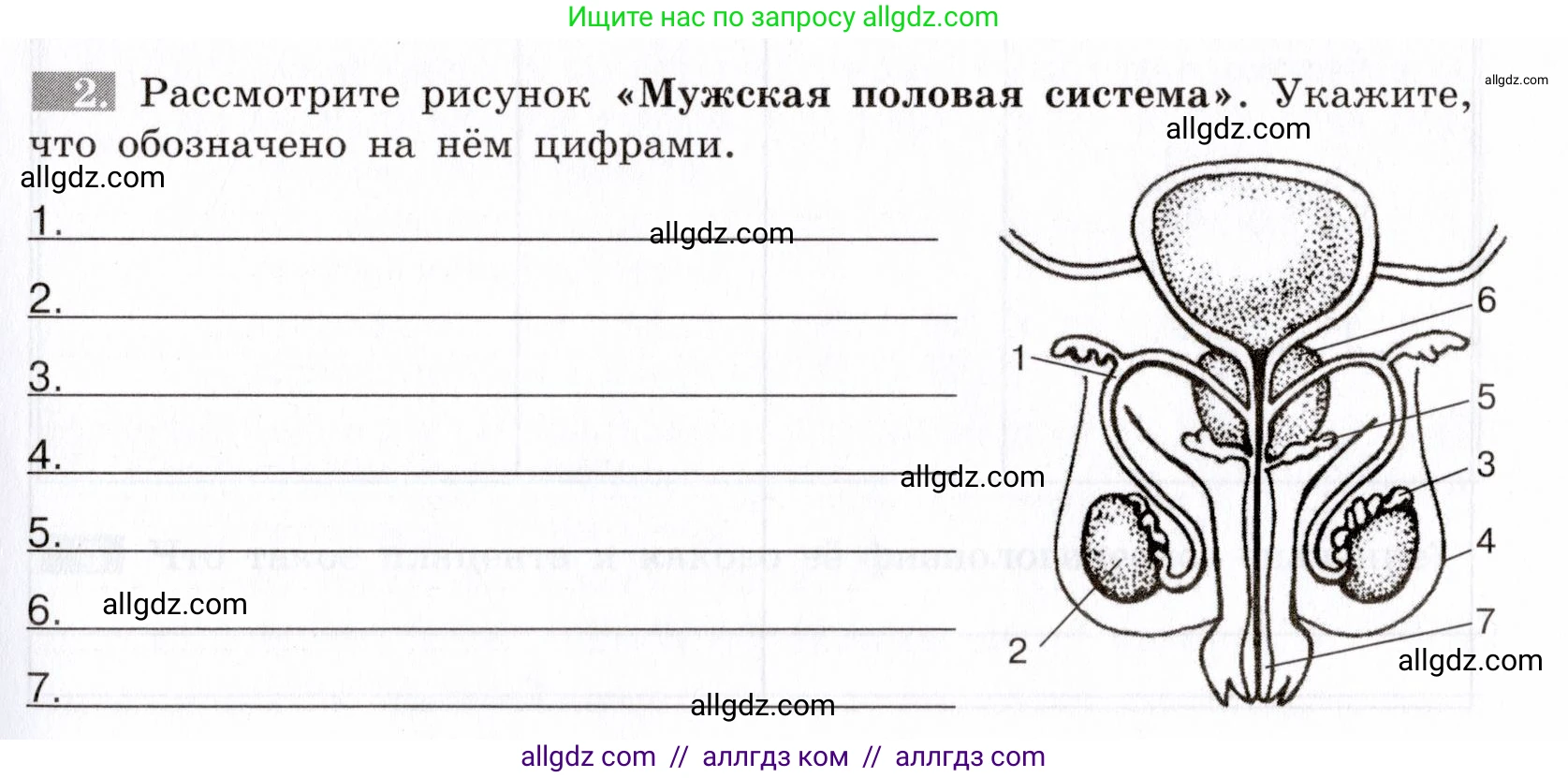 Биология, 8 класс рабочая тетрадь, авторы: Пасечник Владимир Васильевич, Швецов Глеб Геннадьевич, издательство Просвещение, Москва, 2019, страница 131, номер 2, Условие