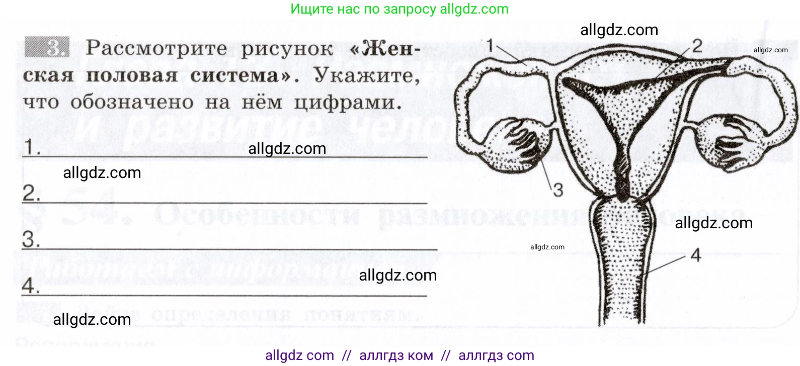 Биология, 8 класс рабочая тетрадь, авторы: Пасечник Владимир Васильевич, Швецов Глеб Геннадьевич, издательство Просвещение, Москва, 2019, страница 132, номер 3, Условие