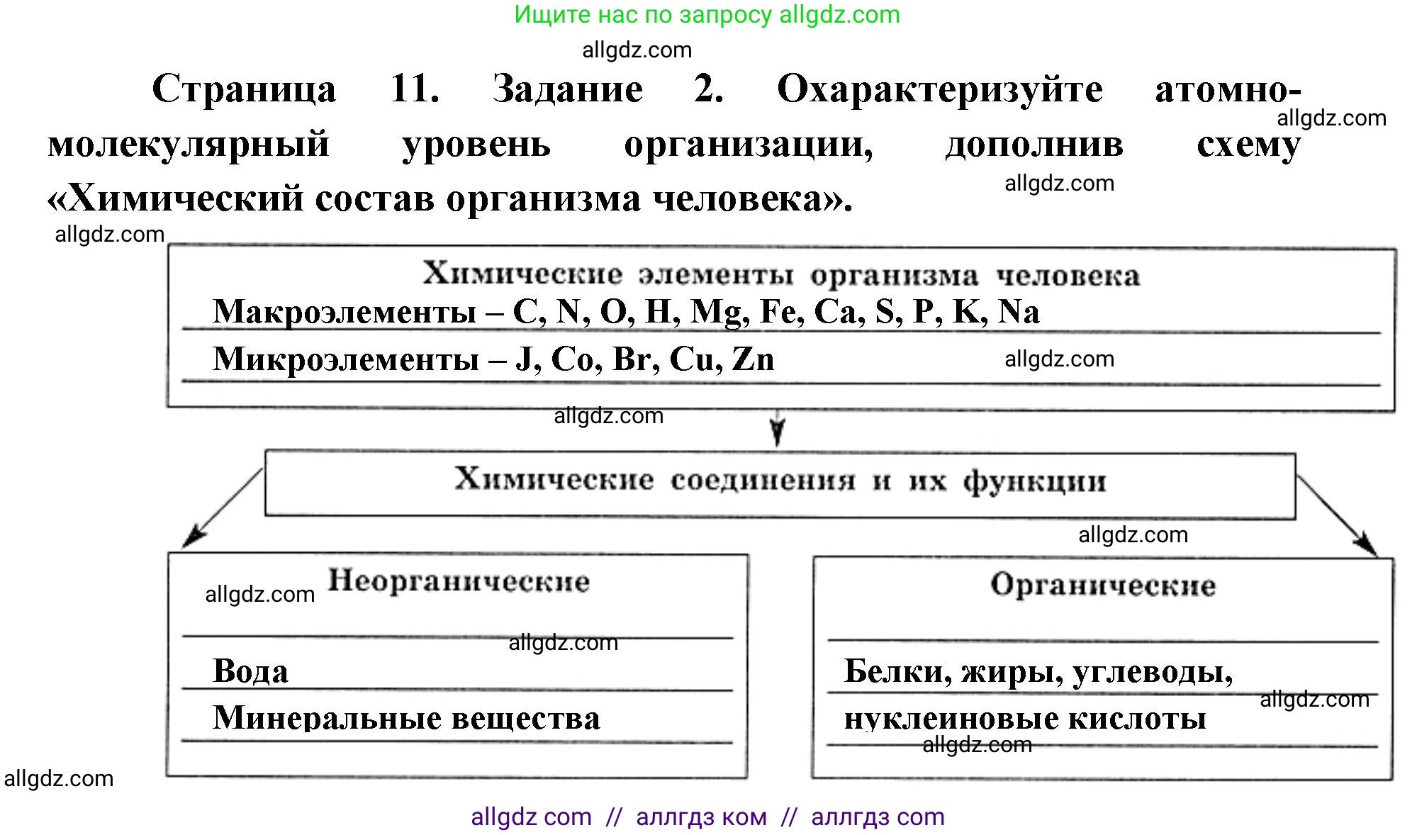 Биология, 8 класс рабочая тетрадь, авторы: Пасечник Владимир Васильевич, Швецов Глеб Геннадьевич, издательство Просвещение, Москва, 2019, страница 11, номер 2, Решение 1