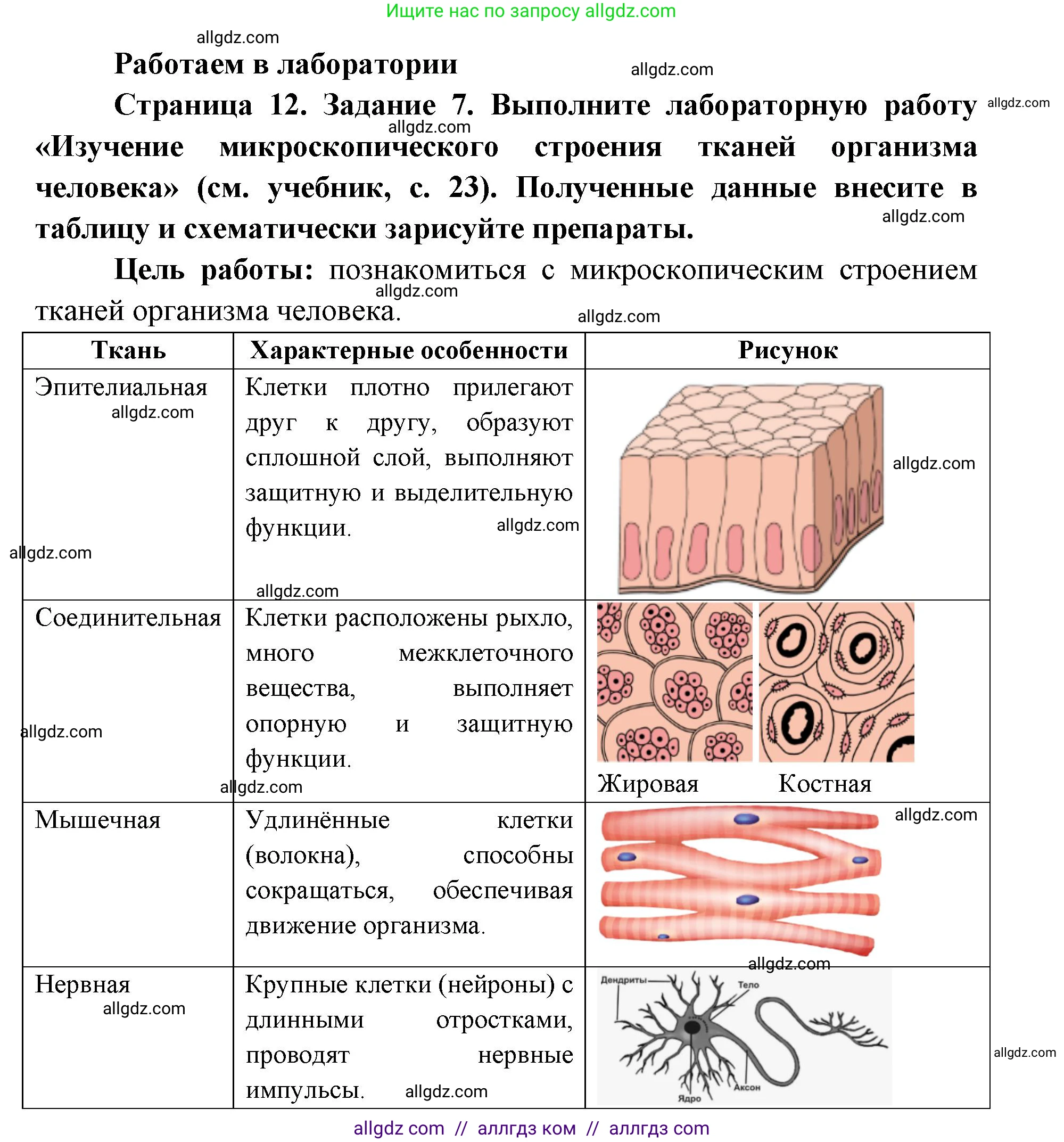 Биология, 8 класс рабочая тетрадь, авторы: Пасечник Владимир Васильевич, Швецов Глеб Геннадьевич, издательство Просвещение, Москва, 2019, страница 12, номер 7, Решение 1