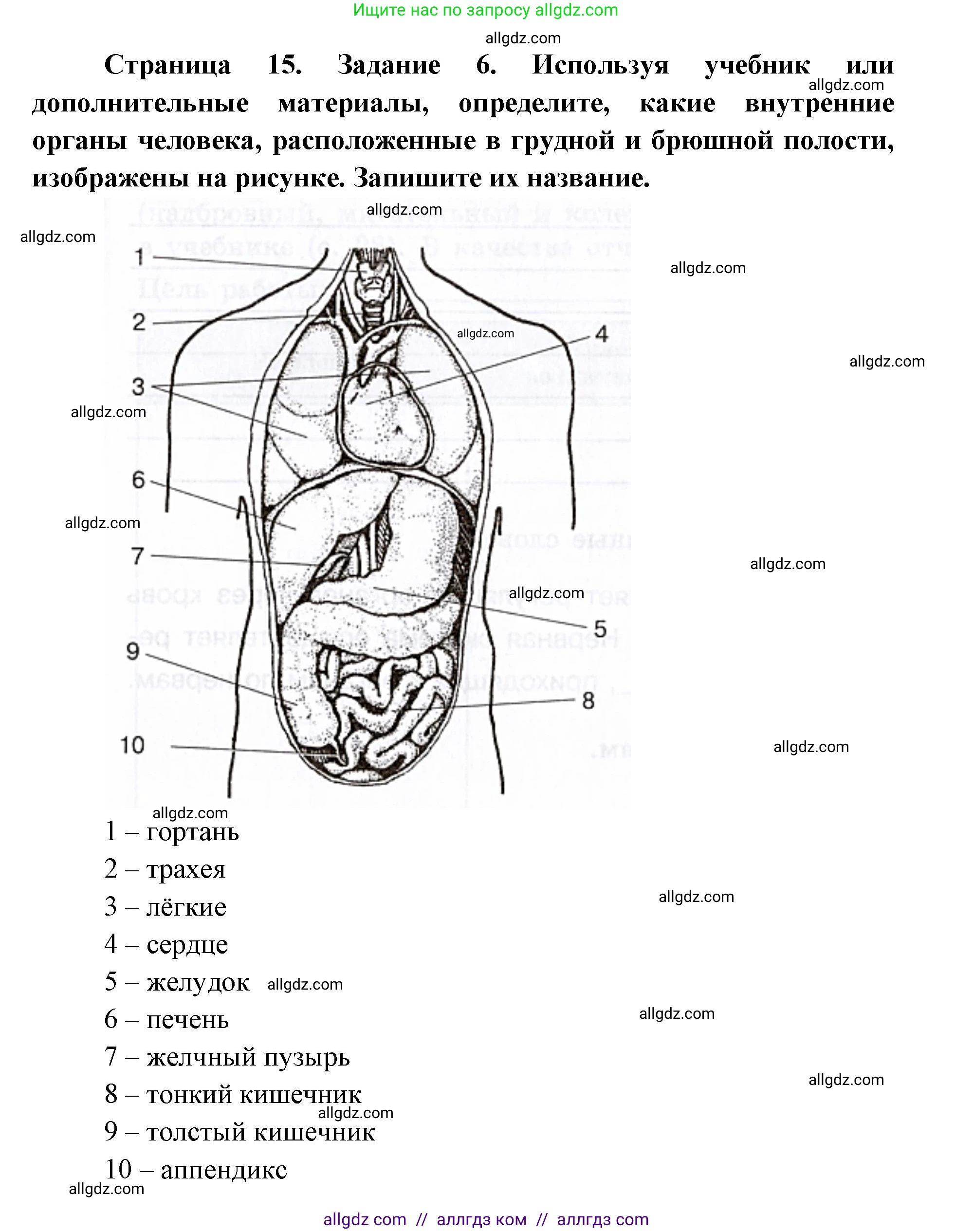 Биология, 8 класс рабочая тетрадь, авторы: Пасечник Владимир Васильевич, Швецов Глеб Геннадьевич, издательство Просвещение, Москва, 2019, страница 15, номер 6, Решение 1