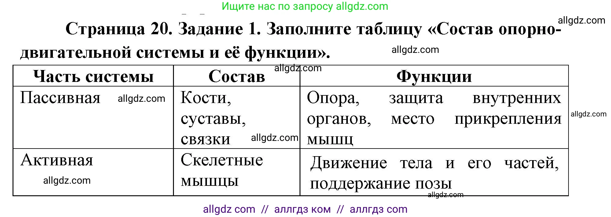 Биология, 8 класс рабочая тетрадь, авторы: Пасечник Владимир Васильевич, Швецов Глеб Геннадьевич, издательство Просвещение, Москва, 2019, страница 20, номер 1, Решение 1