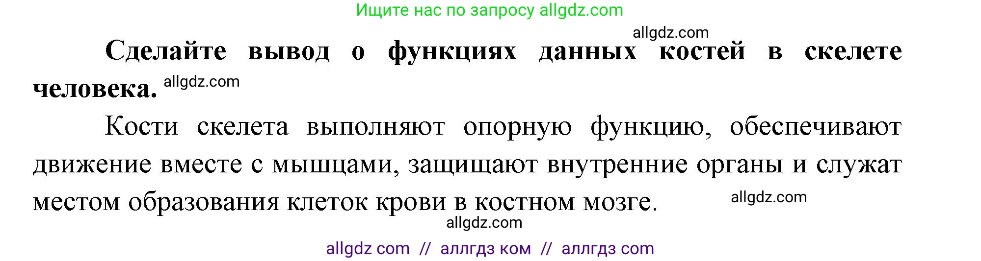Биология, 8 класс рабочая тетрадь, авторы: Пасечник Владимир Васильевич, Швецов Глеб Геннадьевич, издательство Просвещение, Москва, 2019, страница 21, номер 5, Решение 1 (продолжение 2)