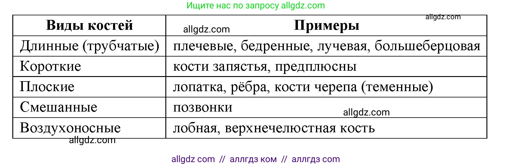 Биология, 8 класс рабочая тетрадь, авторы: Пасечник Владимир Васильевич, Швецов Глеб Геннадьевич, издательство Просвещение, Москва, 2019, страница 22, номер 8, Решение 1