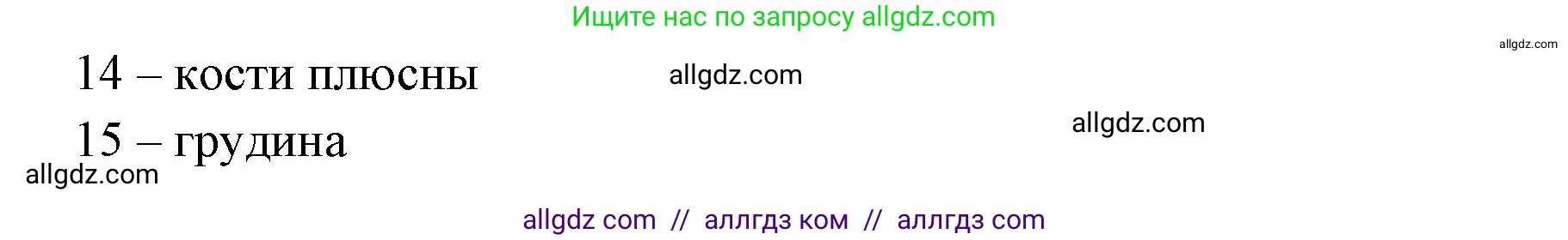 Биология, 8 класс рабочая тетрадь, авторы: Пасечник Владимир Васильевич, Швецов Глеб Геннадьевич, издательство Просвещение, Москва, 2019, страница 22, номер 1, Решение 1 (продолжение 2)