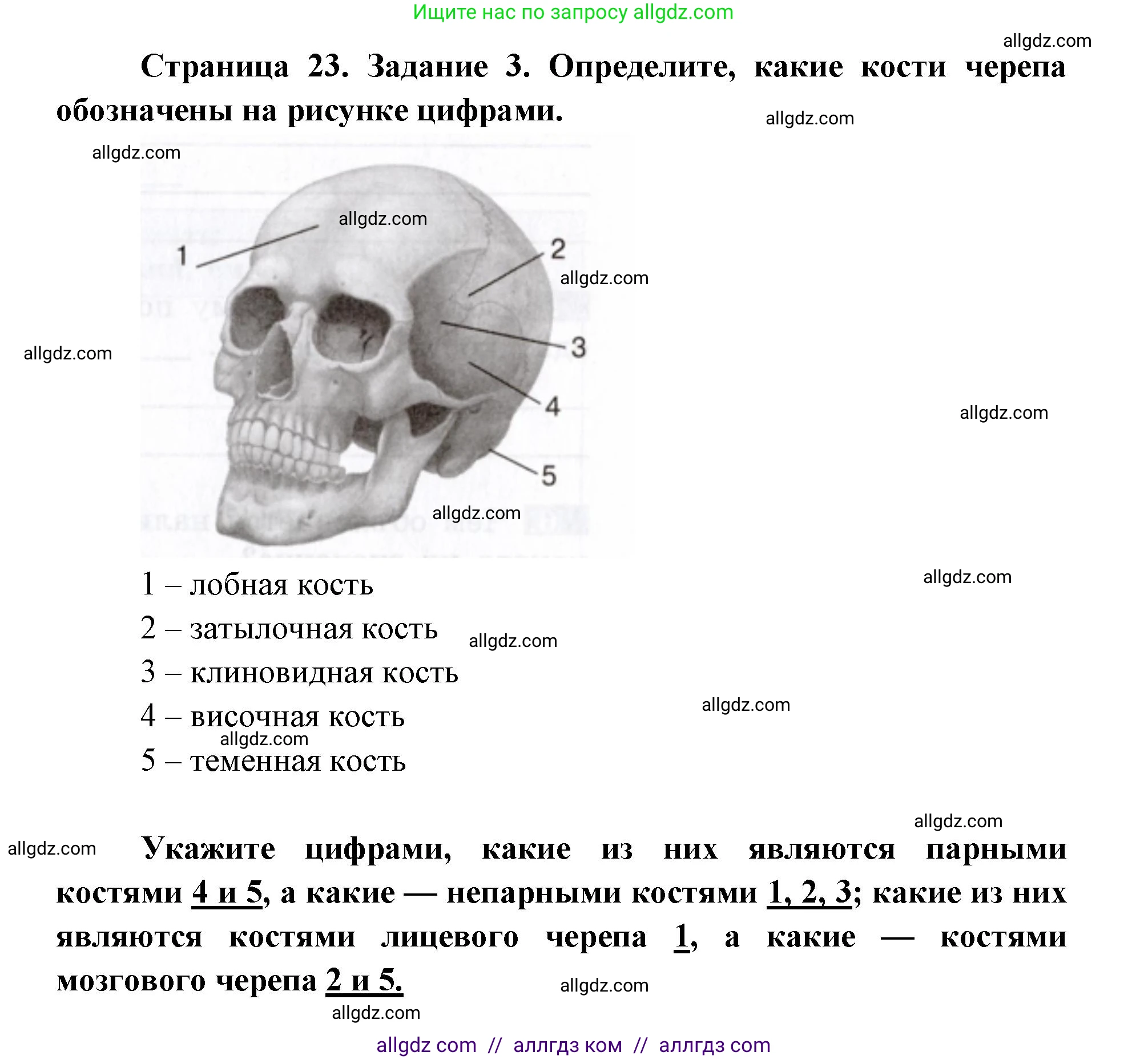 Биология, 8 класс рабочая тетрадь, авторы: Пасечник Владимир Васильевич, Швецов Глеб Геннадьевич, издательство Просвещение, Москва, 2019, страница 23, номер 3, Решение 1