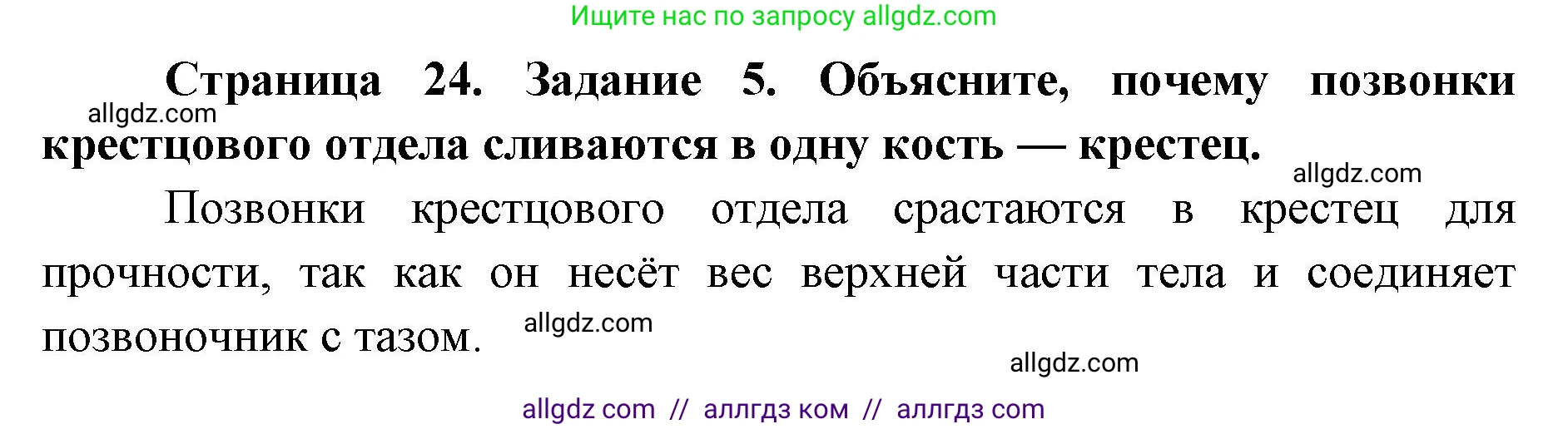 Биология, 8 класс рабочая тетрадь, авторы: Пасечник Владимир Васильевич, Швецов Глеб Геннадьевич, издательство Просвещение, Москва, 2019, страница 24, номер 5, Решение 1