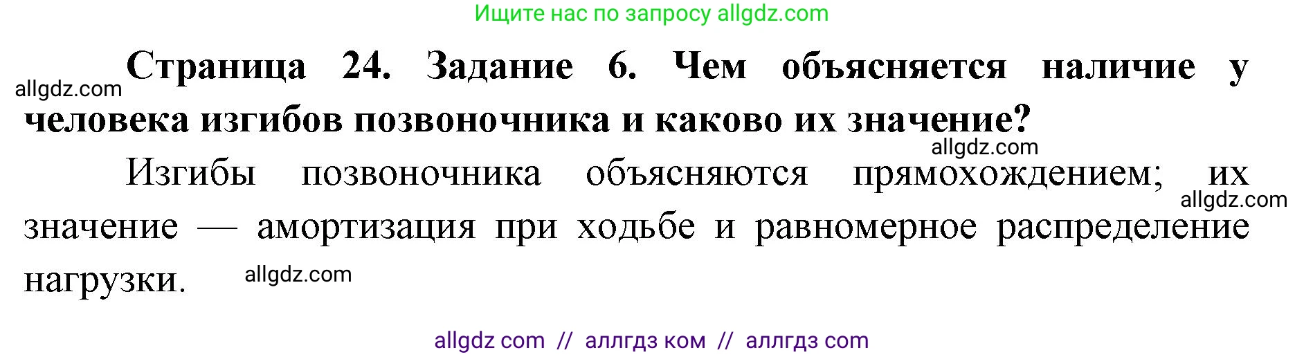 Биология, 8 класс рабочая тетрадь, авторы: Пасечник Владимир Васильевич, Швецов Глеб Геннадьевич, издательство Просвещение, Москва, 2019, страница 24, номер 6, Решение 1