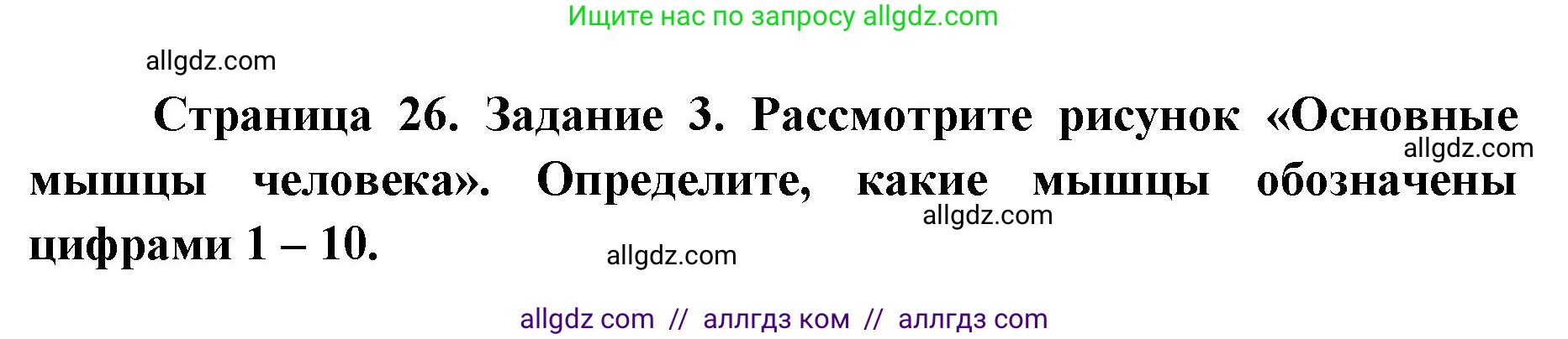 Биология, 8 класс рабочая тетрадь, авторы: Пасечник Владимир Васильевич, Швецов Глеб Геннадьевич, издательство Просвещение, Москва, 2019, страница 26, номер 3, Решение 1
