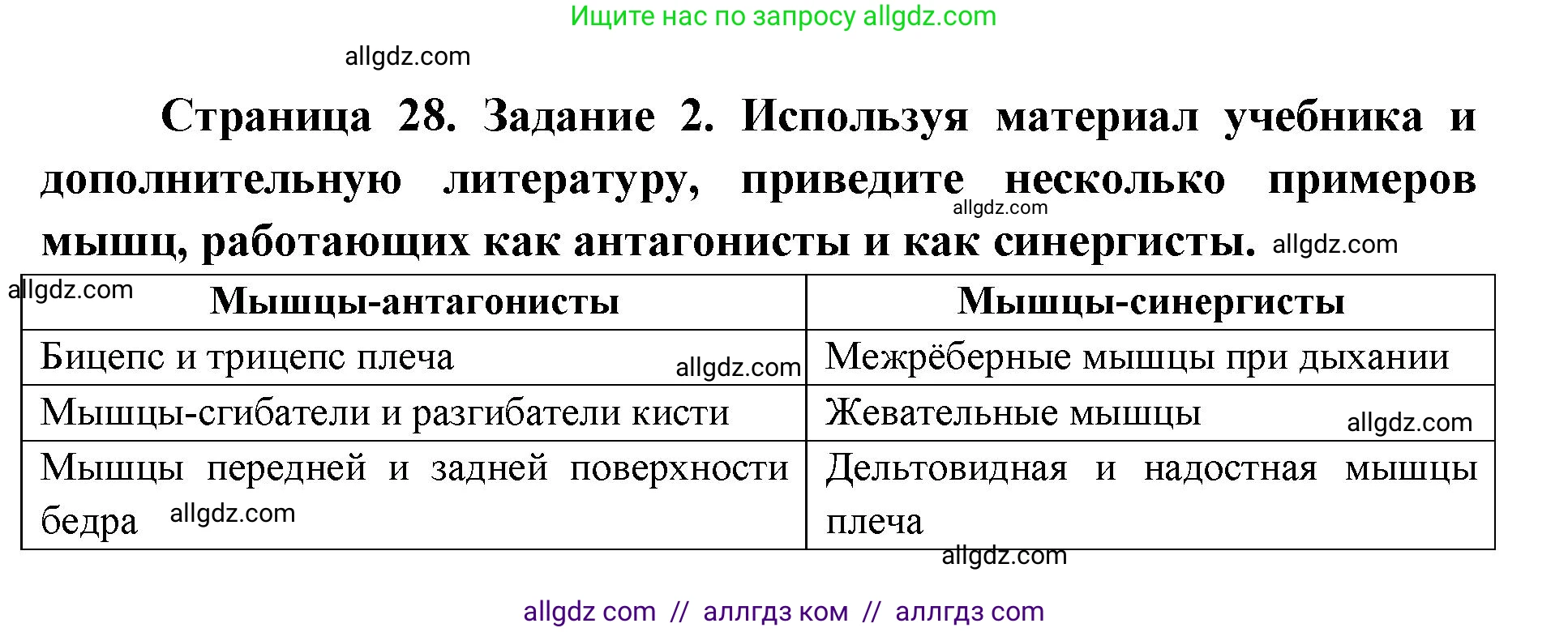 Биология, 8 класс рабочая тетрадь, авторы: Пасечник Владимир Васильевич, Швецов Глеб Геннадьевич, издательство Просвещение, Москва, 2019, страница 28, номер 2, Решение 1