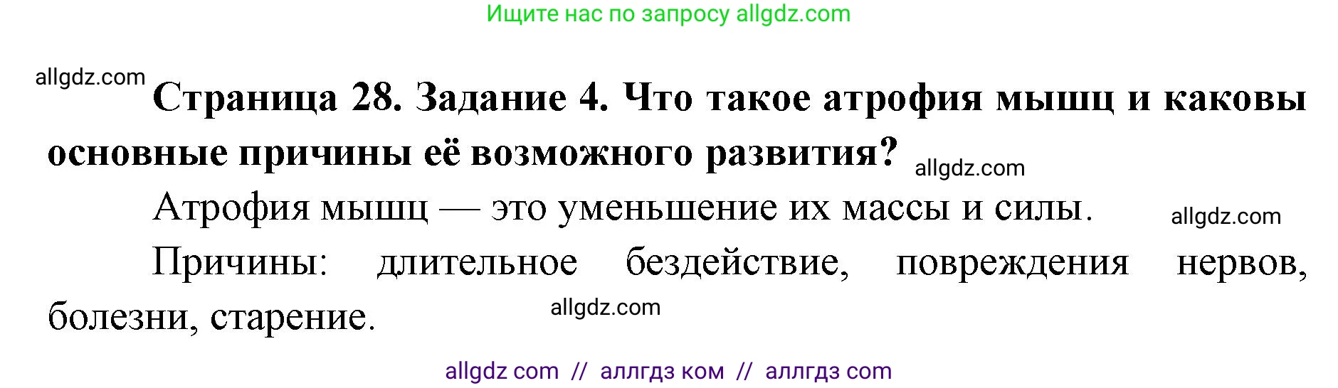 Биология, 8 класс рабочая тетрадь, авторы: Пасечник Владимир Васильевич, Швецов Глеб Геннадьевич, издательство Просвещение, Москва, 2019, страница 28, номер 4, Решение 1