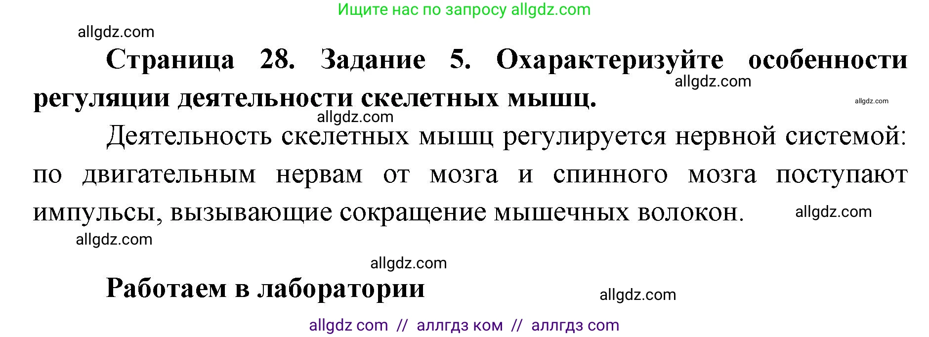 Биология, 8 класс рабочая тетрадь, авторы: Пасечник Владимир Васильевич, Швецов Глеб Геннадьевич, издательство Просвещение, Москва, 2019, страница 28, номер 5, Решение 1