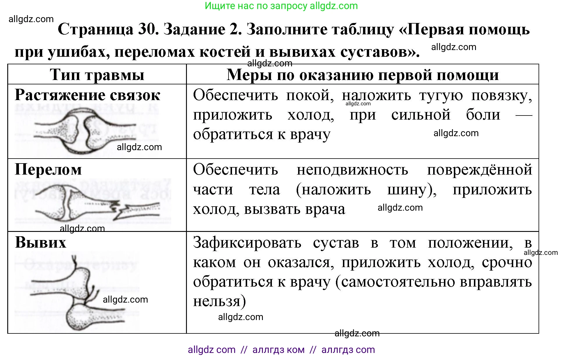 Биология, 8 класс рабочая тетрадь, авторы: Пасечник Владимир Васильевич, Швецов Глеб Геннадьевич, издательство Просвещение, Москва, 2019, страница 30, номер 2, Решение 1
