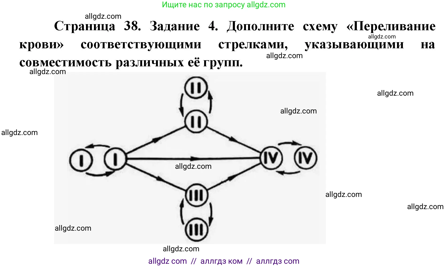Биология, 8 класс рабочая тетрадь, авторы: Пасечник Владимир Васильевич, Швецов Глеб Геннадьевич, издательство Просвещение, Москва, 2019, страница 38, номер 4, Решение 1