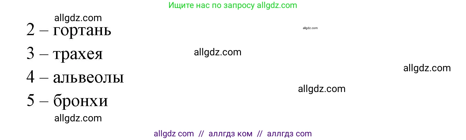 Биология, 8 класс рабочая тетрадь, авторы: Пасечник Владимир Васильевич, Швецов Глеб Геннадьевич, издательство Просвещение, Москва, 2019, страница 52, номер 3, Решение 1 (продолжение 2)