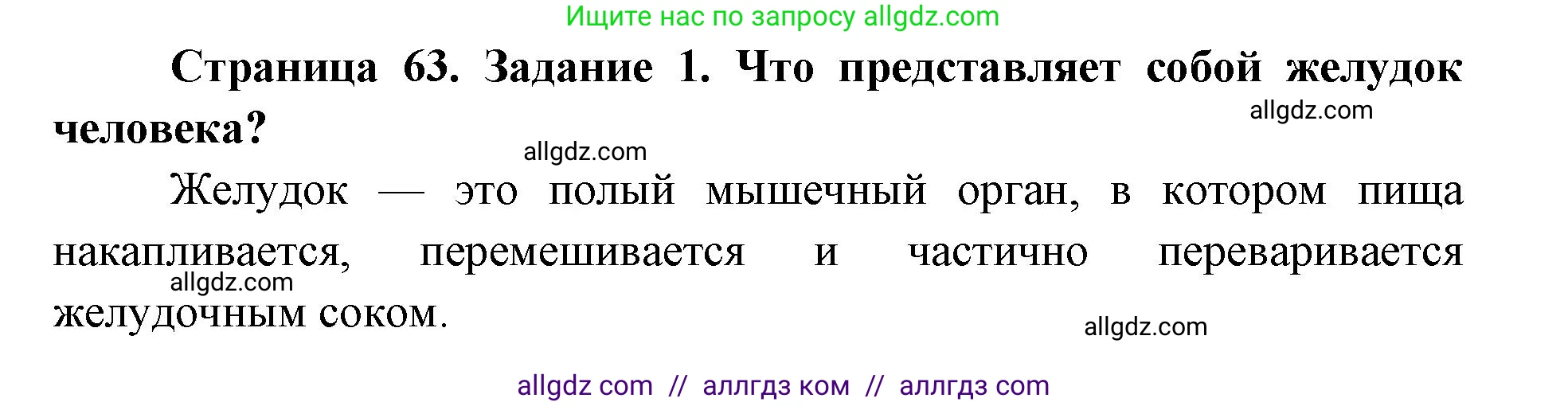 Биология, 8 класс рабочая тетрадь, авторы: Пасечник Владимир Васильевич, Швецов Глеб Геннадьевич, издательство Просвещение, Москва, 2019, страница 63, номер 1, Решение 1