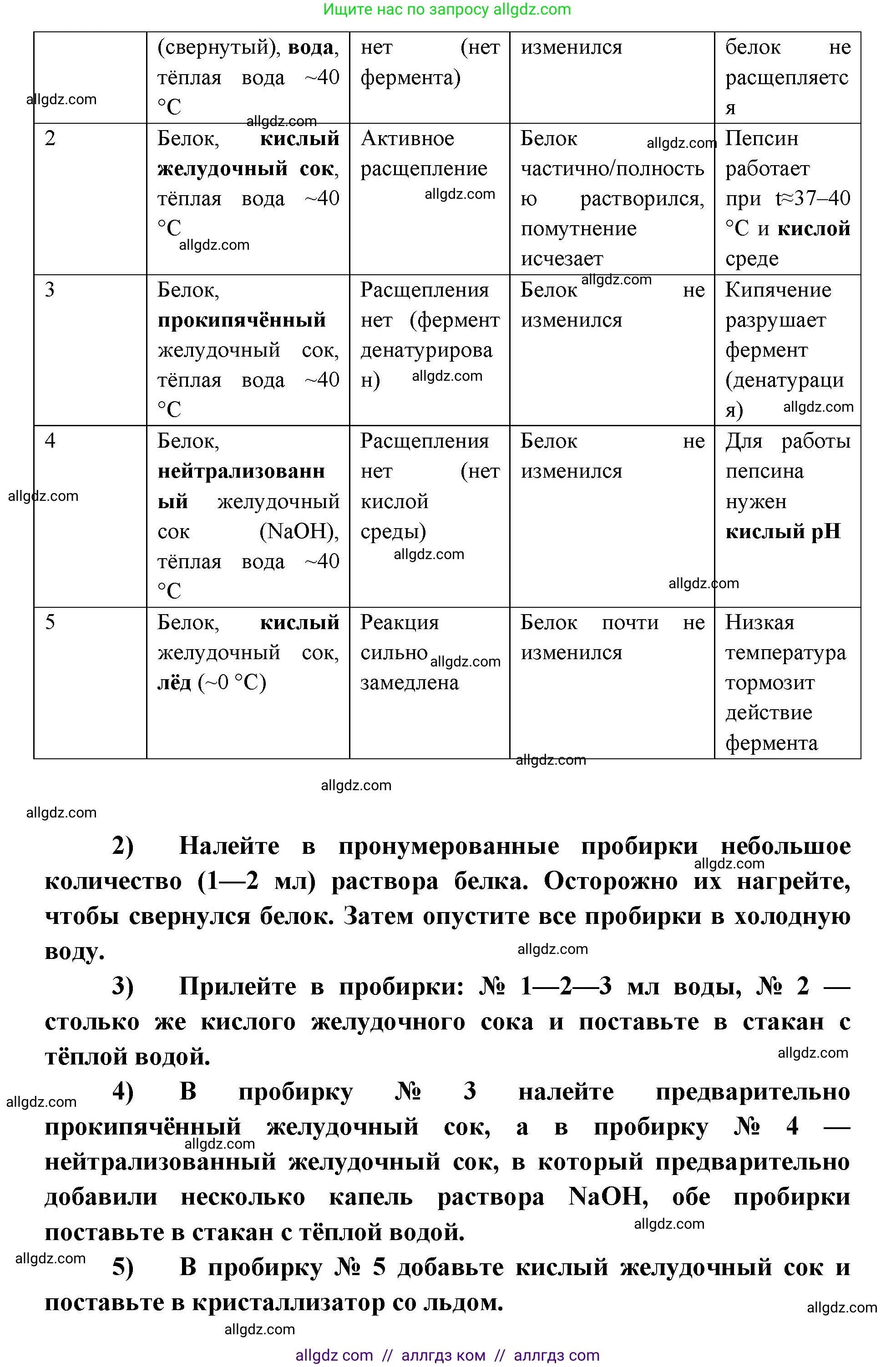 Биология, 8 класс рабочая тетрадь, авторы: Пасечник Владимир Васильевич, Швецов Глеб Геннадьевич, издательство Просвещение, Москва, 2019, страница 64, номер 4, Решение 1 (продолжение 2)