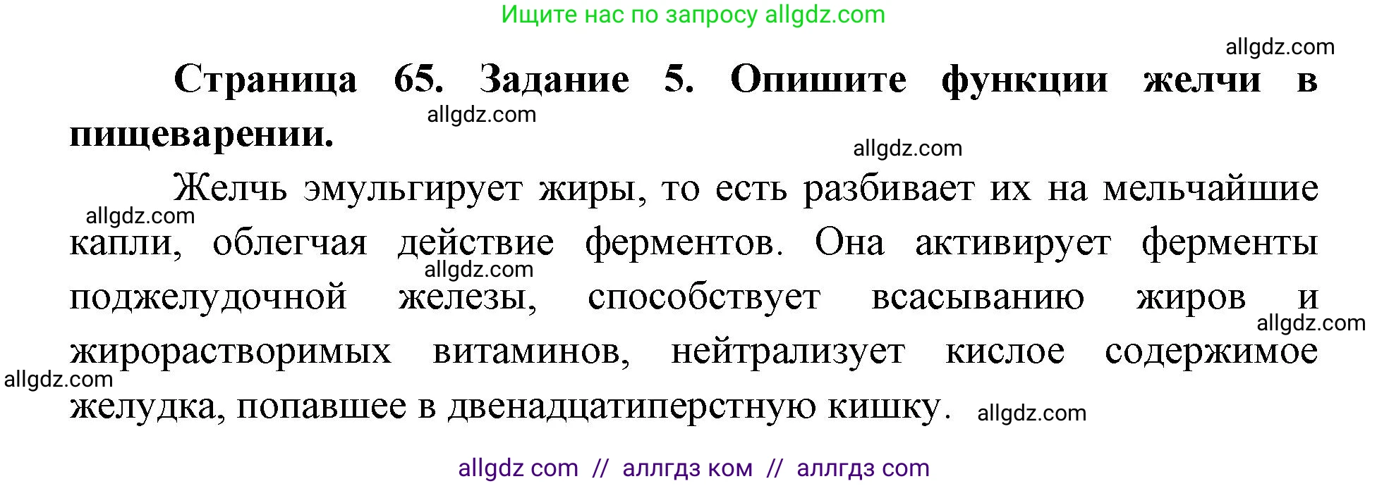 Биология, 8 класс рабочая тетрадь, авторы: Пасечник Владимир Васильевич, Швецов Глеб Геннадьевич, издательство Просвещение, Москва, 2019, страница 65, номер 5, Решение 1