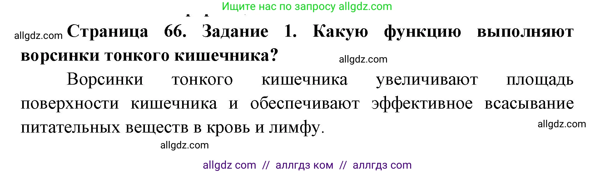 Биология, 8 класс рабочая тетрадь, авторы: Пасечник Владимир Васильевич, Швецов Глеб Геннадьевич, издательство Просвещение, Москва, 2019, страница 66, номер 1, Решение 1