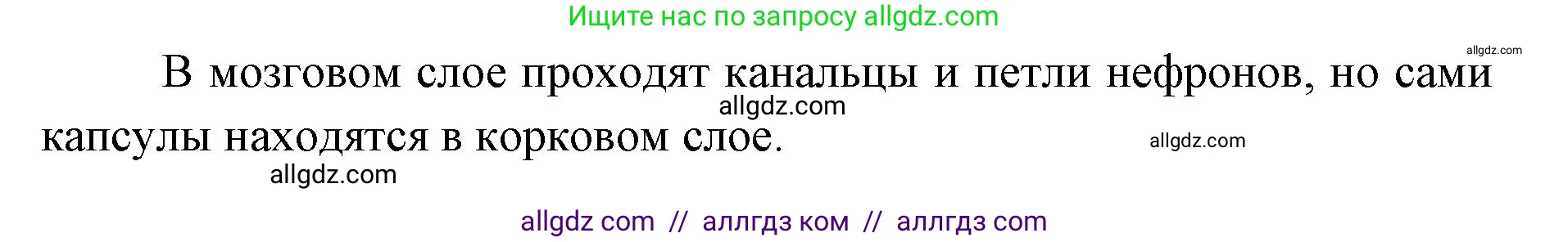 Биология, 8 класс рабочая тетрадь, авторы: Пасечник Владимир Васильевич, Швецов Глеб Геннадьевич, издательство Просвещение, Москва, 2019, страница 85, номер 4, Решение 1 (продолжение 2)
