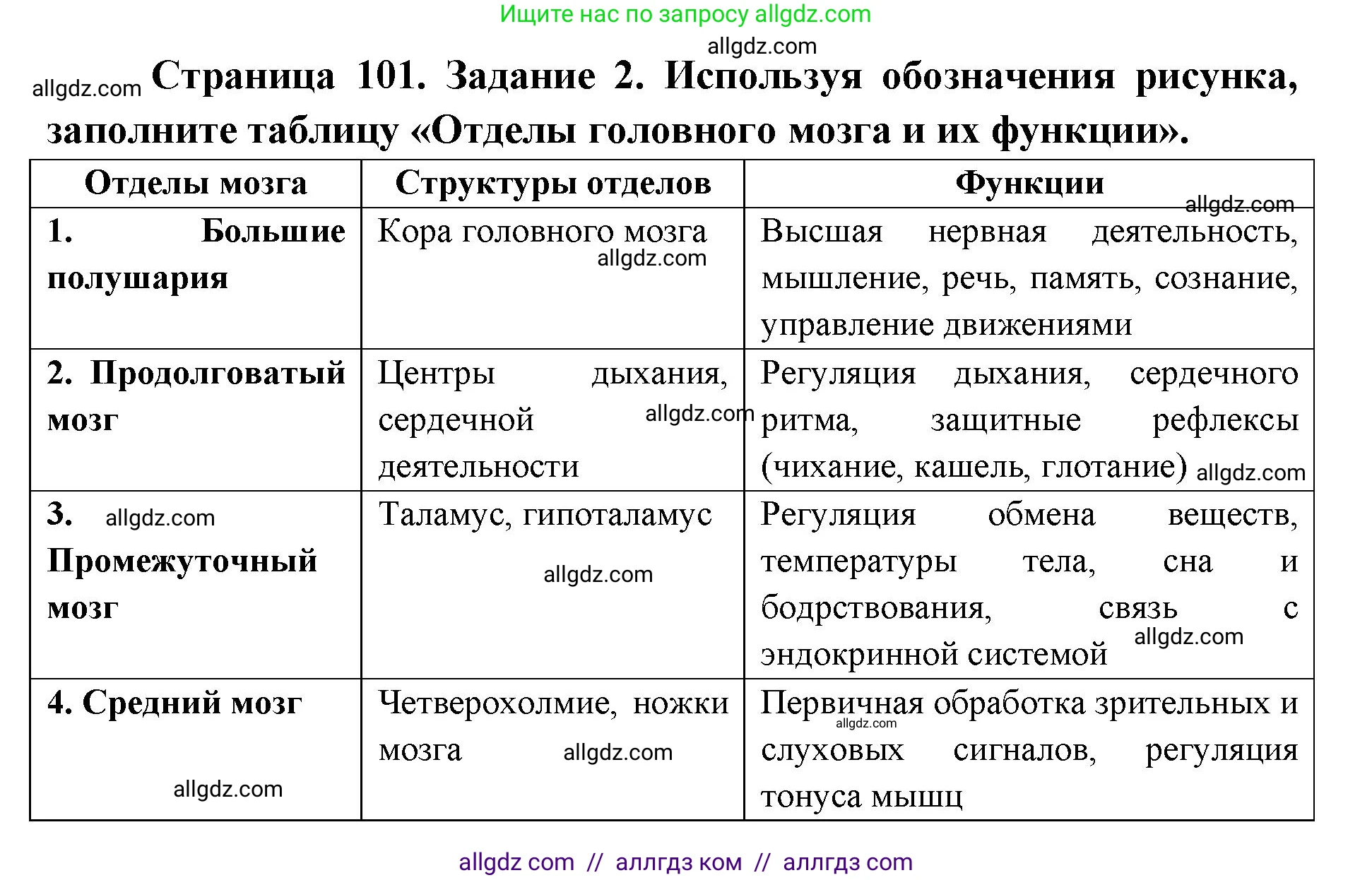 Биология, 8 класс рабочая тетрадь, авторы: Пасечник Владимир Васильевич, Швецов Глеб Геннадьевич, издательство Просвещение, Москва, 2019, страница 101, номер 2, Решение 1