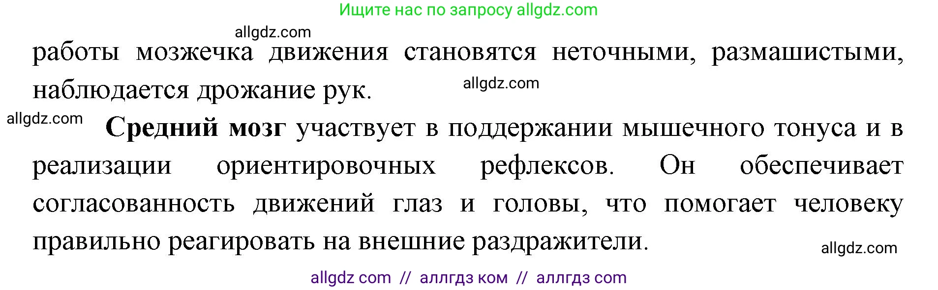 Биология, 8 класс рабочая тетрадь, авторы: Пасечник Владимир Васильевич, Швецов Глеб Геннадьевич, издательство Просвещение, Москва, 2019, страница 102, номер 4, Решение 1 (продолжение 2)