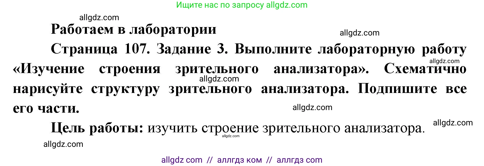 Биология, 8 класс рабочая тетрадь, авторы: Пасечник Владимир Васильевич, Швецов Глеб Геннадьевич, издательство Просвещение, Москва, 2019, страница 107, номер 3, Решение 1