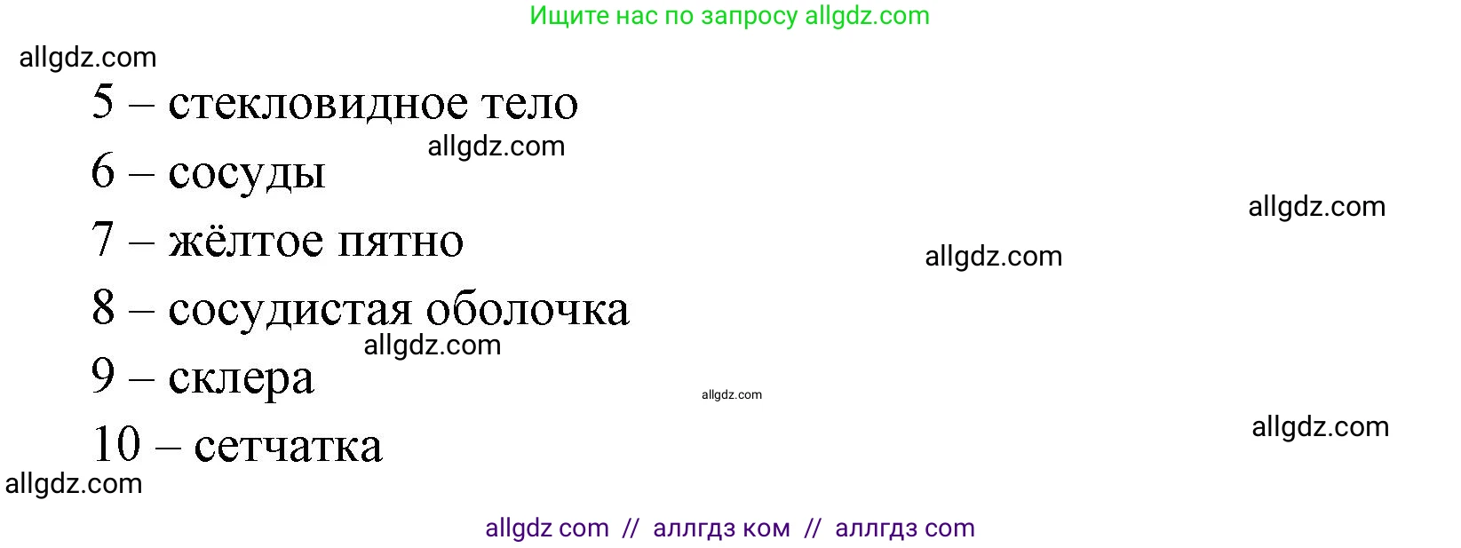 Биология, 8 класс рабочая тетрадь, авторы: Пасечник Владимир Васильевич, Швецов Глеб Геннадьевич, издательство Просвещение, Москва, 2019, страница 108, номер 4, Решение 1 (продолжение 2)