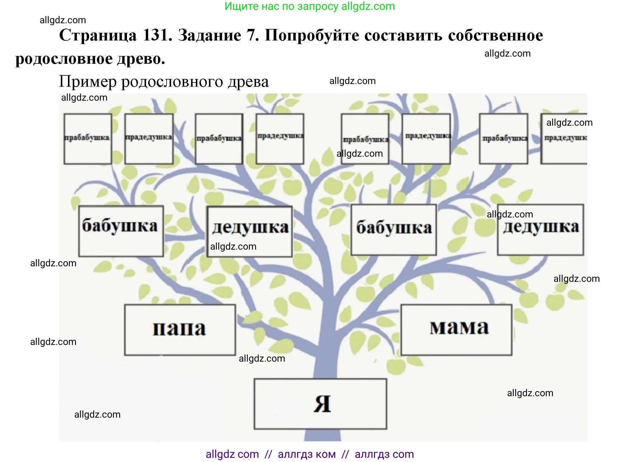 Биология, 8 класс рабочая тетрадь, авторы: Пасечник Владимир Васильевич, Швецов Глеб Геннадьевич, издательство Просвещение, Москва, 2019, страница 131, номер 7, Решение 1