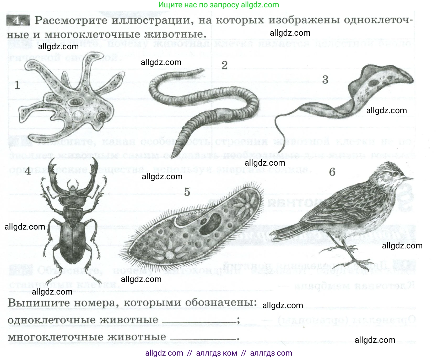 Биология, 8 класс рабочая тетрадь, авторы: Суматохин Сергей Витальевич, Пасечник Владимир Васильевич, Гапонюк Зоя Георгиевна, издательство Просвещение, Москва, 2023, оранжевого цвета, страница 7, номер 4, Условие