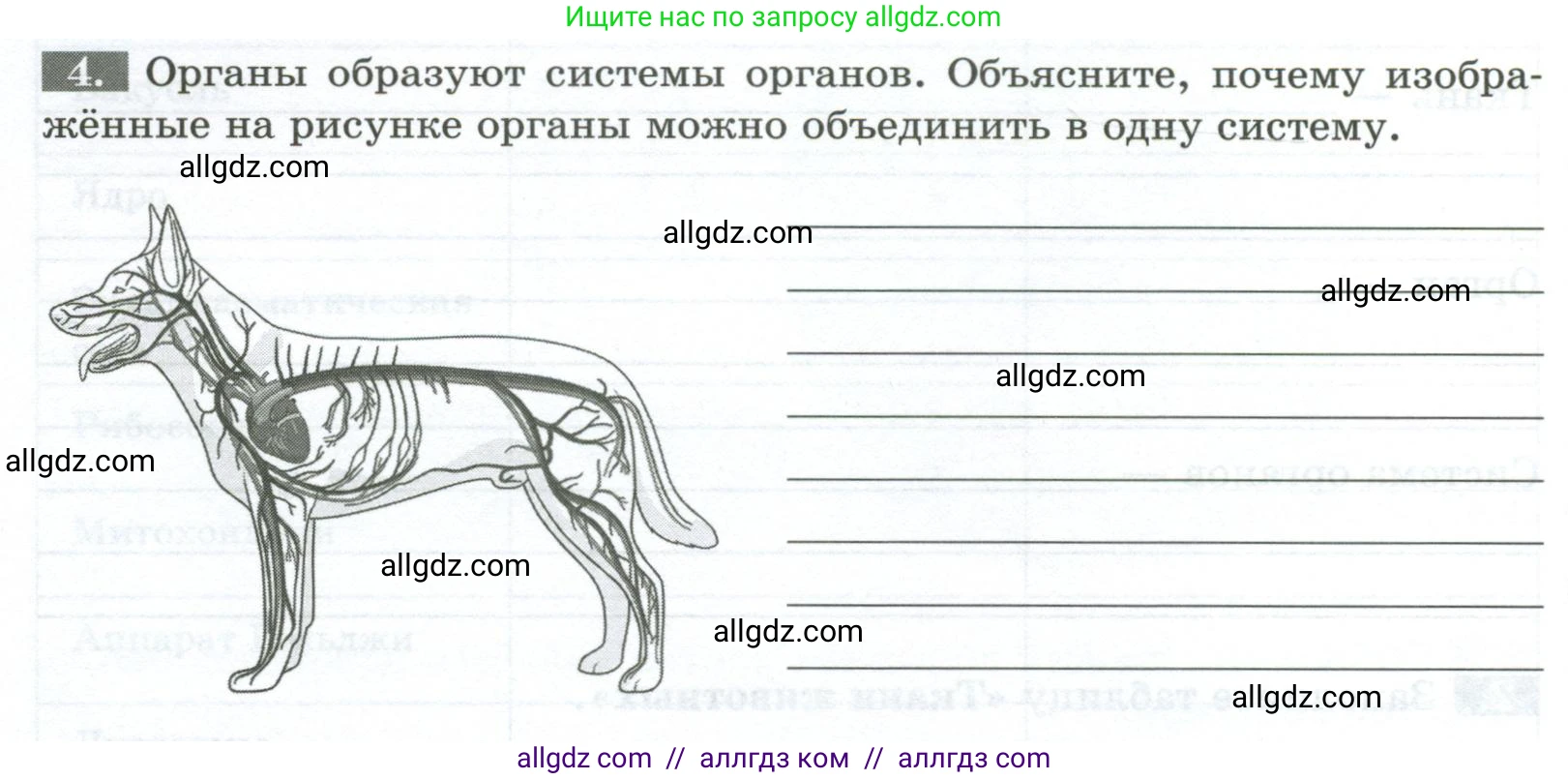Биология, 8 класс рабочая тетрадь, авторы: Суматохин Сергей Витальевич, Пасечник Владимир Васильевич, Гапонюк Зоя Георгиевна, издательство Просвещение, Москва, 2023, оранжевого цвета, страница 12, номер 4, Условие