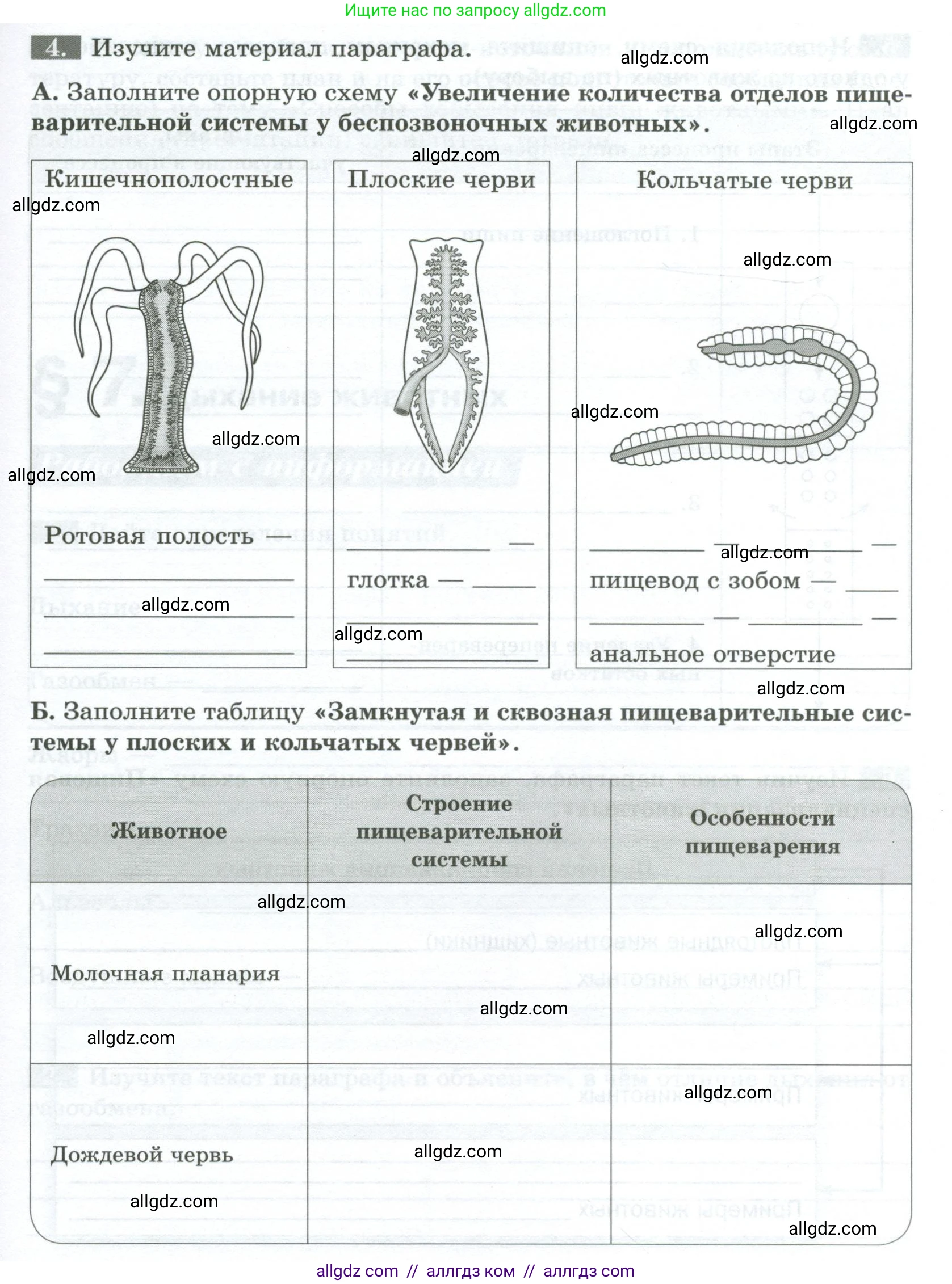 Биология, 8 класс рабочая тетрадь, авторы: Суматохин Сергей Витальевич, Пасечник Владимир Васильевич, Гапонюк Зоя Георгиевна, издательство Просвещение, Москва, 2023, оранжевого цвета, страница 21, номер 4, Условие