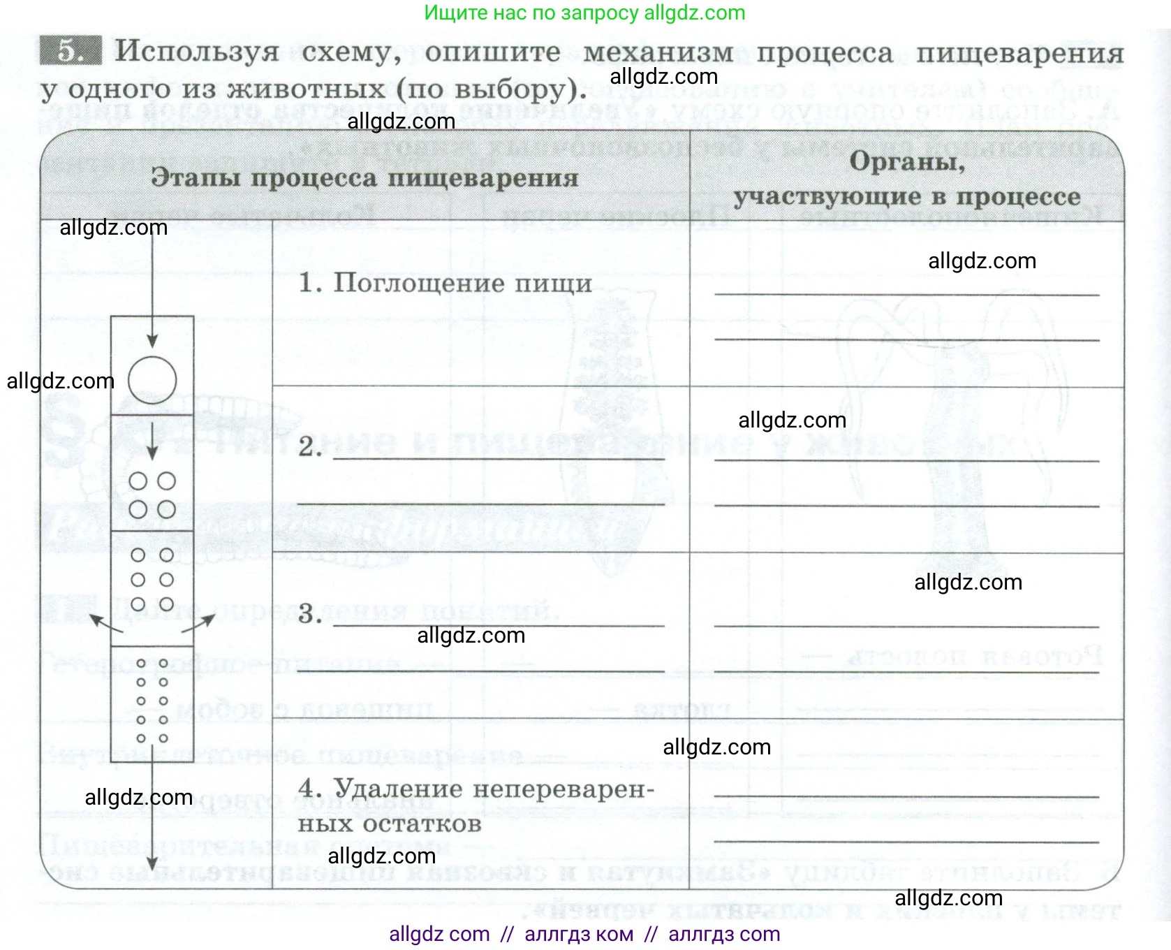 Биология, 8 класс рабочая тетрадь, авторы: Суматохин Сергей Витальевич, Пасечник Владимир Васильевич, Гапонюк Зоя Георгиевна, издательство Просвещение, Москва, 2023, оранжевого цвета, страница 22, номер 5, Условие