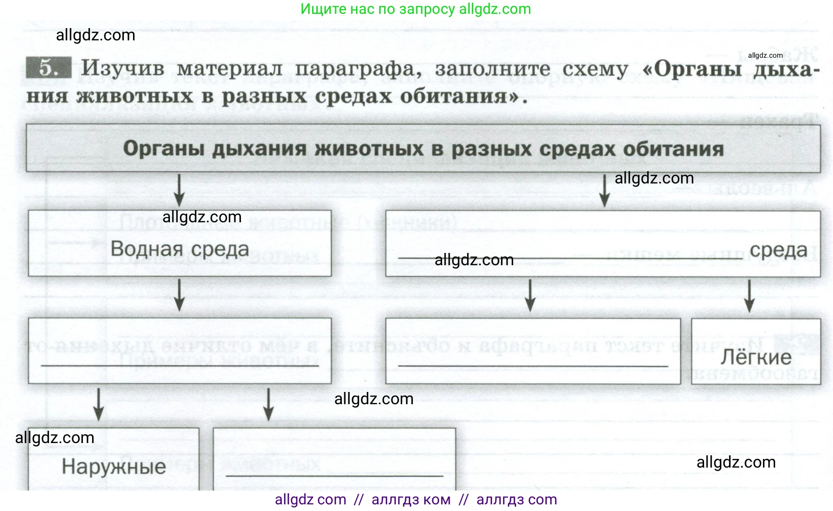 Биология, 8 класс рабочая тетрадь, авторы: Суматохин Сергей Витальевич, Пасечник Владимир Васильевич, Гапонюк Зоя Георгиевна, издательство Просвещение, Москва, 2023, оранжевого цвета, страница 24, номер 5, Условие