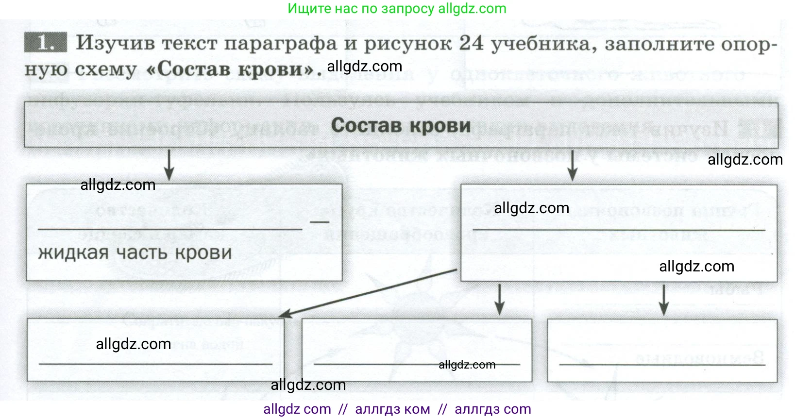 Биология, 8 класс рабочая тетрадь, авторы: Суматохин Сергей Витальевич, Пасечник Владимир Васильевич, Гапонюк Зоя Георгиевна, издательство Просвещение, Москва, 2023, оранжевого цвета, страница 25, номер 1, Условие