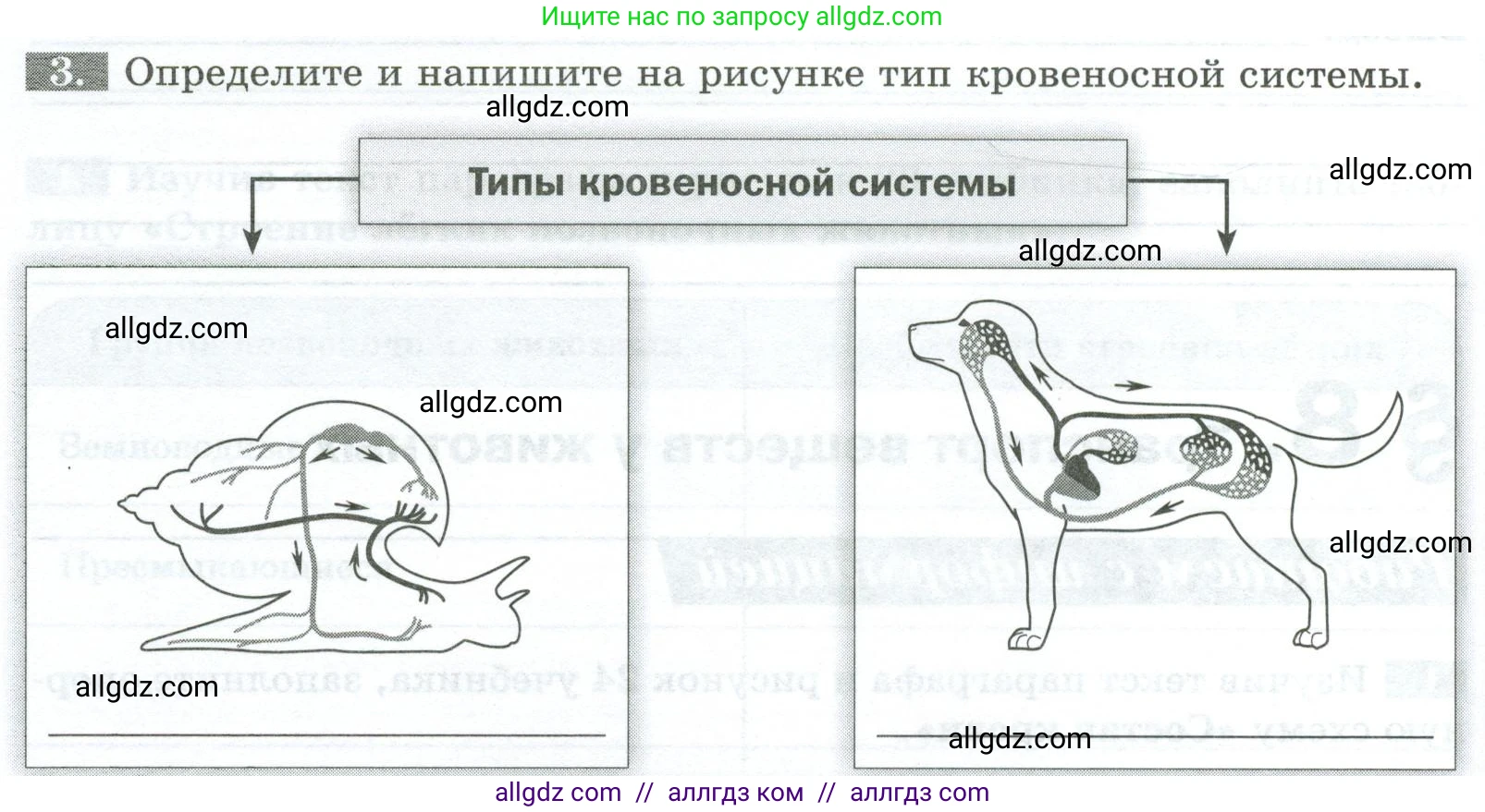 Биология, 8 класс рабочая тетрадь, авторы: Суматохин Сергей Витальевич, Пасечник Владимир Васильевич, Гапонюк Зоя Георгиевна, издательство Просвещение, Москва, 2023, оранжевого цвета, страница 26, номер 3, Условие