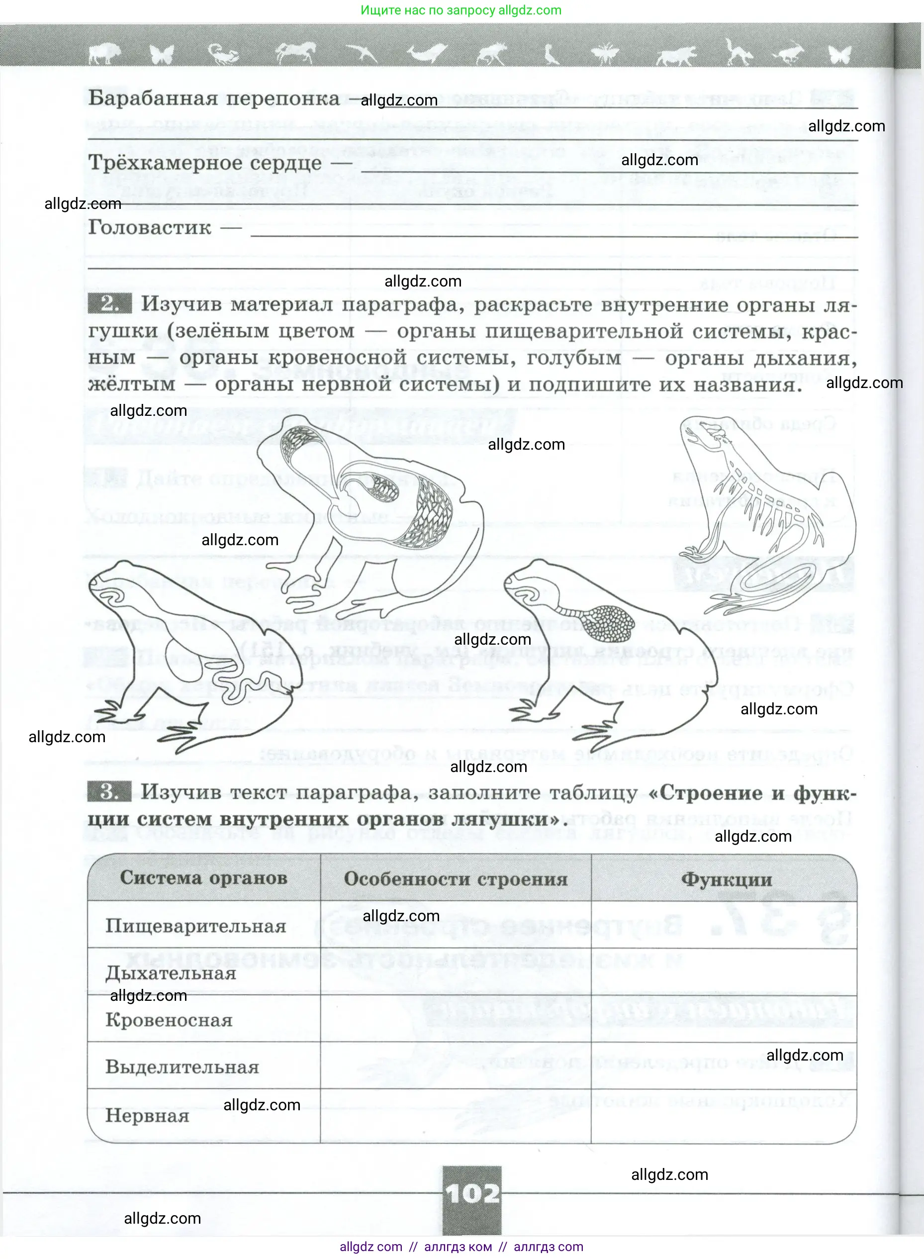Биология, 8 класс рабочая тетрадь, авторы: Суматохин Сергей Витальевич, Пасечник Владимир Васильевич, Гапонюк Зоя Георгиевна, издательство Просвещение, Москва, 2023, оранжевого цвета, страница 102