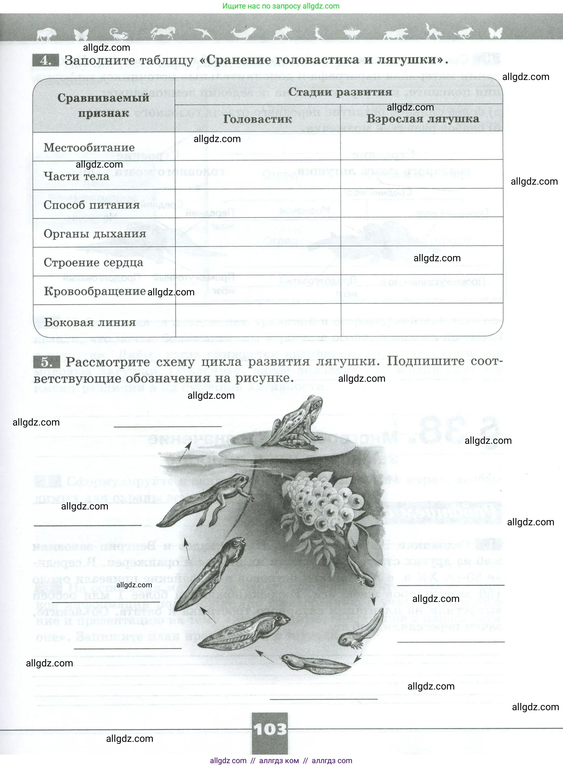 Биология, 8 класс рабочая тетрадь, авторы: Суматохин Сергей Витальевич, Пасечник Владимир Васильевич, Гапонюк Зоя Георгиевна, издательство Просвещение, Москва, 2023, оранжевого цвета, страница 103